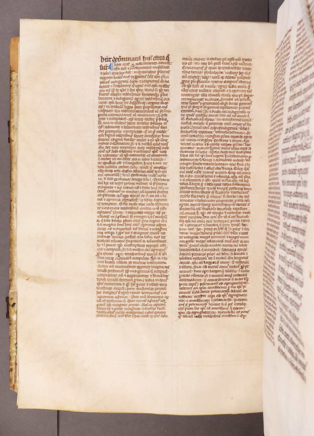 Folio 194 verso